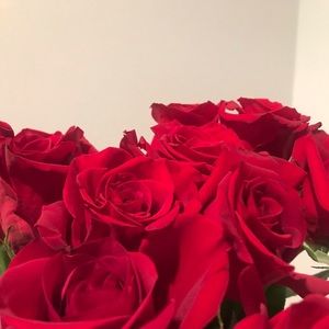 Meet your Posher, Jessee